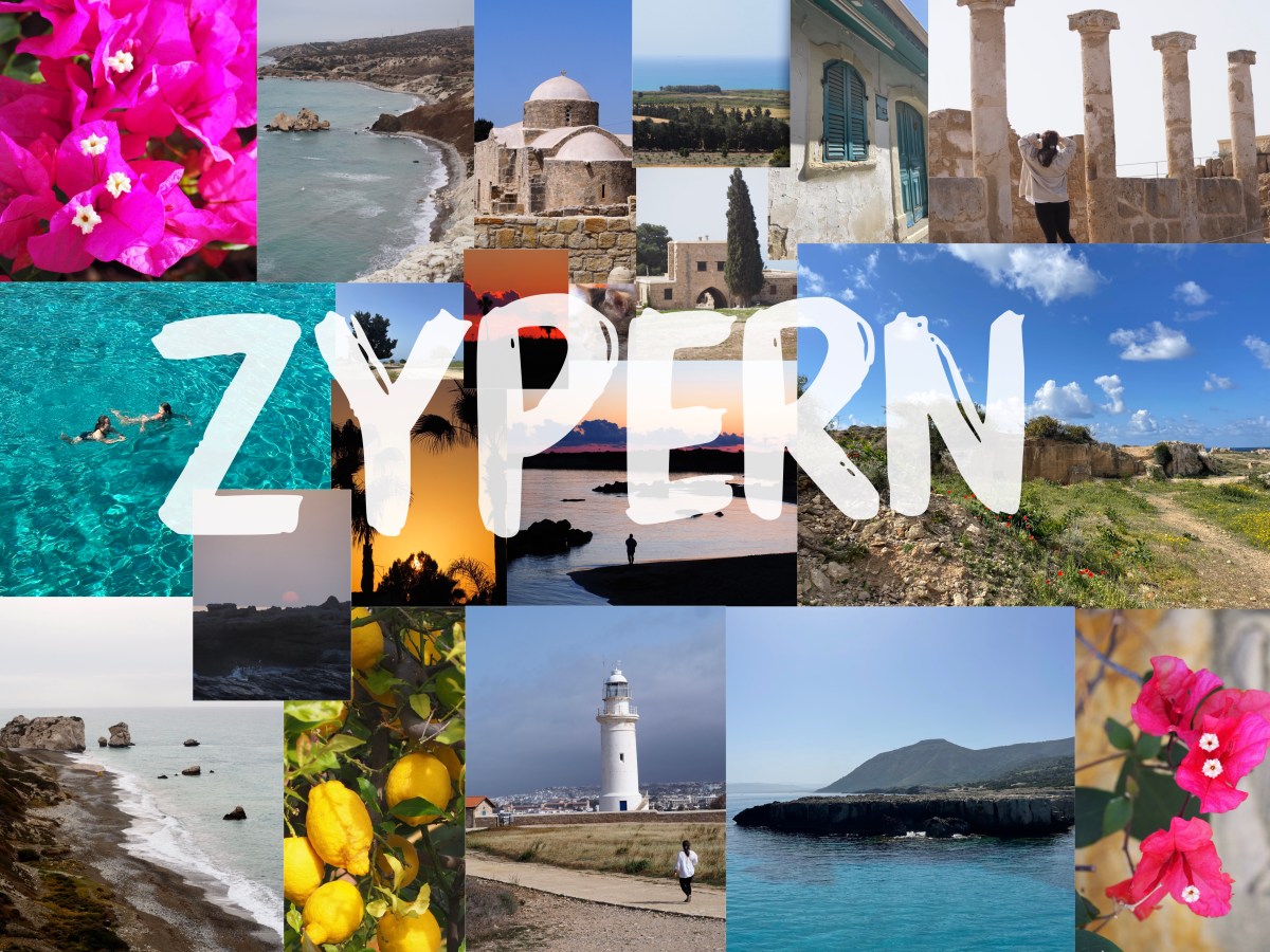 Z Y P E R N – Mini&nbsp;Guide